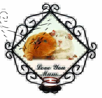 Guinea Pigs 