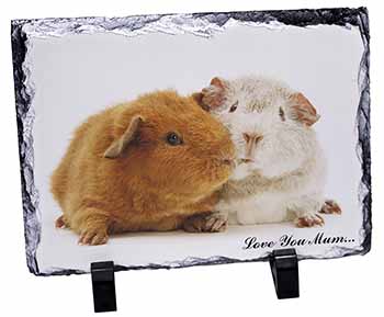 Guinea Pigs 