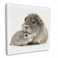 Silver Guinea Pigs Square Canvas 12"x12" Wall Art Picture Print