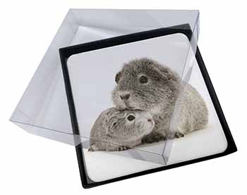 4x Silver Guinea Pigs Picture Table Coasters Set in Gift Box