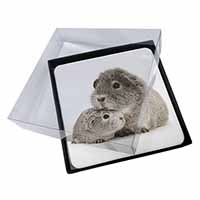4x Silver Guinea Pigs Picture Table Coasters Set in Gift Box