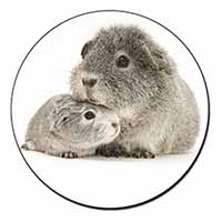 Silver Guinea Pigs Fridge Magnet Printed Full Colour