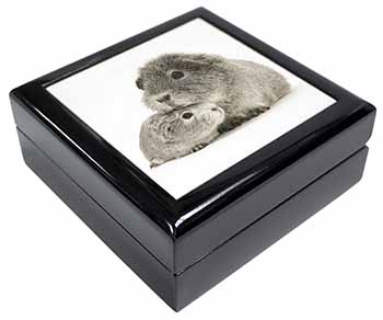 Silver Guinea Pigs Keepsake/Jewellery Box