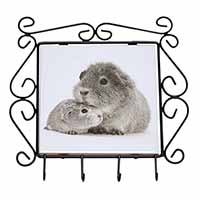 Silver Guinea Pigs Wrought Iron Key Holder Hooks