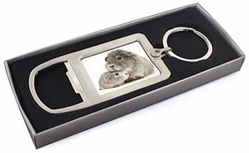 Silver Guinea Pigs Chrome Metal Bottle Opener Keyring in Box