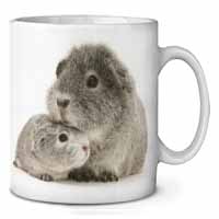 Silver Guinea Pigs Ceramic 10oz Coffee Mug/Tea Cup