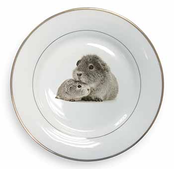 Silver Guinea Pigs Gold Rim Plate Printed Full Colour in Gift Box