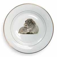 Silver Guinea Pigs Gold Rim Plate Printed Full Colour in Gift Box