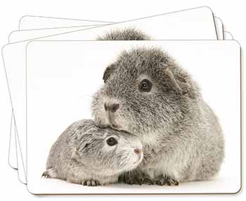 Silver Guinea Pigs Picture Placemats in Gift Box