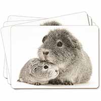 Silver Guinea Pigs Picture Placemats in Gift Box