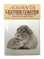 Silver Guinea Pigs Single Leather Photo Coaster