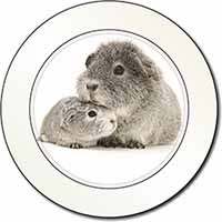 Silver Guinea Pigs Car or Van Permit Holder/Tax Disc Holder