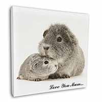 Silver Guinea Pigs 