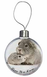 Silver Guinea Pigs 