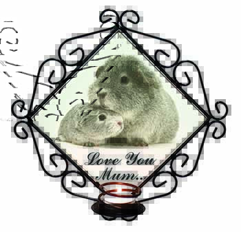 Silver Guinea Pigs 