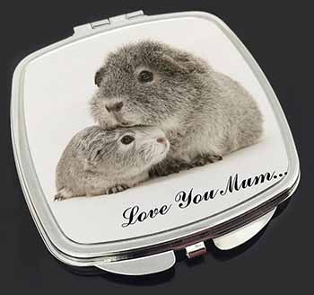 Silver Guinea Pigs 