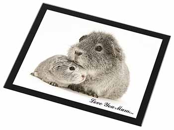 Silver Guinea Pigs 