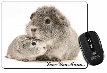 Silver Guinea Pigs 