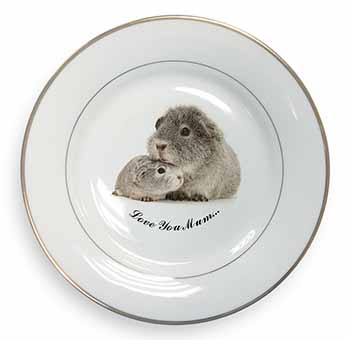 Silver Guinea Pigs 