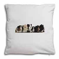 Baby Guinea Pigs Soft White Velvet Feel Scatter Cushion