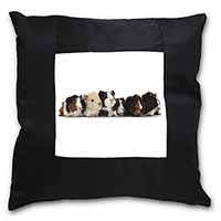 Baby Guinea Pigs Black Satin Feel Scatter Cushion