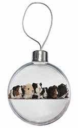 Baby Guinea Pigs Christmas Bauble