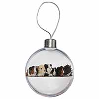 Baby Guinea Pigs Christmas Bauble