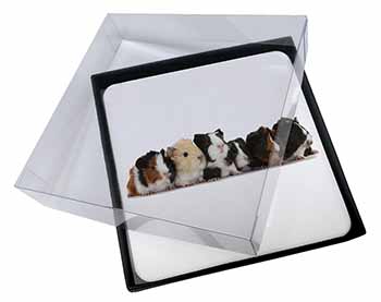 4x Baby Guinea Pigs Picture Table Coasters Set in Gift Box