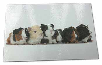 Large Glass Cutting Chopping Board Baby Guinea Pigs