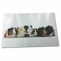 Large Glass Cutting Chopping Board Baby Guinea Pigs