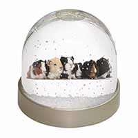 Baby Guinea Pigs Snow Globe Photo Waterball