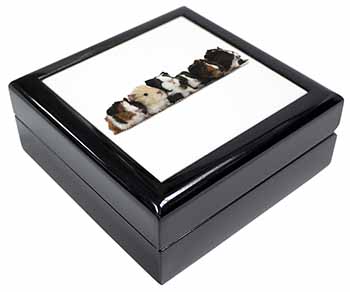 Baby Guinea Pigs Keepsake/Jewellery Box