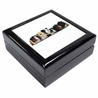 Baby Guinea Pigs Keepsake/Jewellery Box