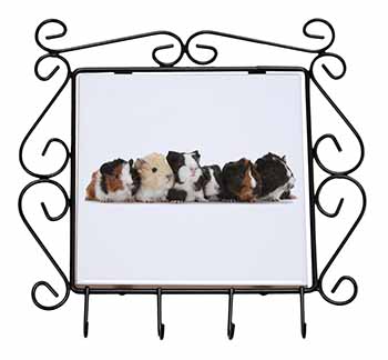 Baby Guinea Pigs Wrought Iron Key Holder Hooks