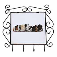 Baby Guinea Pigs Wrought Iron Key Holder Hooks