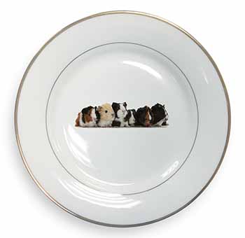 Baby Guinea Pigs Gold Rim Plate Printed Full Colour in Gift Box