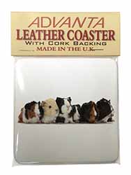 Baby Guinea Pigs Single Leather Photo Coaster