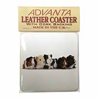 Baby Guinea Pigs Single Leather Photo Coaster