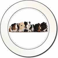 Baby Guinea Pigs Car or Van Permit Holder/Tax Disc Holder