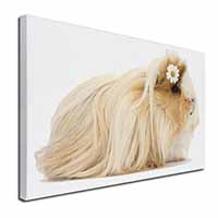 Flower in Hair Guinea Pig Canvas X-Large 30"x20" Wall Art Print