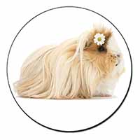 Flower in Hair Guinea Pig Fridge Magnet Printed Full Colour