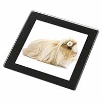 Flower in Hair Guinea Pig Black Rim High Quality Glass Coaster