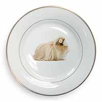 Flower in Hair Guinea Pig Gold Rim Plate Printed Full Colour in Gift Box