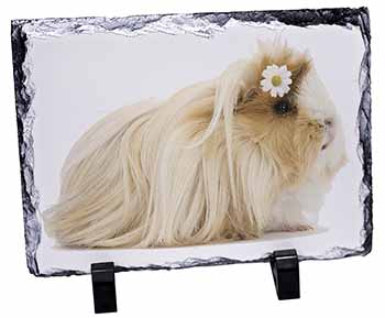 Flower in Hair Guinea Pig, Stunning Photo Slate