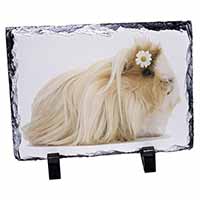 Flower in Hair Guinea Pig, Stunning Photo Slate