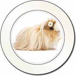 Flower in Hair Guinea Pig Car or Van Permit Holder/Tax Disc Holder