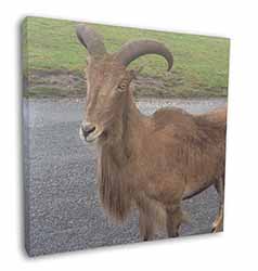 Cute Nanny Goat Square Canvas 12"x12" Wall Art Picture Print