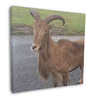 Cute Nanny Goat Square Canvas 12"x12" Wall Art Picture Print