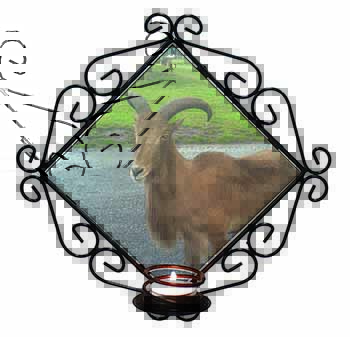 Cute Nanny Goat Wrought Iron Wall Art Candle Holder