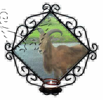 Cute Nanny Goat Wrought Iron Wall Art Candle Holder